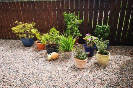 Banbridge Townhouse Appartement Buitenkant foto